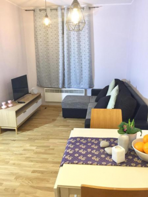 Гостиница Suur-Ameerika Apartment  Таллинн